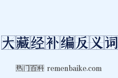大藏经补编反义词是什么意思的图片